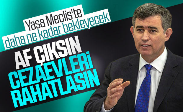 Metin Feyzioğlu’ndan af talebi